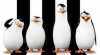 A madagaszkár pingvinjei: A film